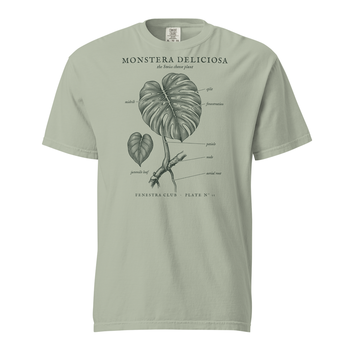 Monstera Deliciosa, Plate Nº 01 tee in Bay — front view