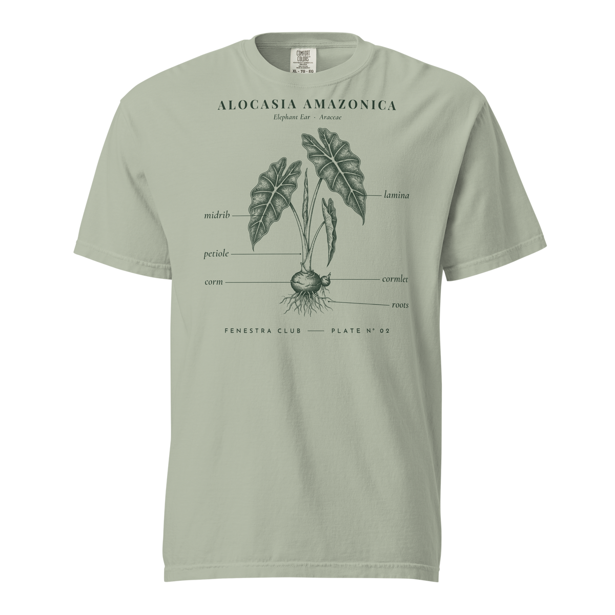 Alocasia Amazonica, Plate Nº 02 tee in Bay — front view