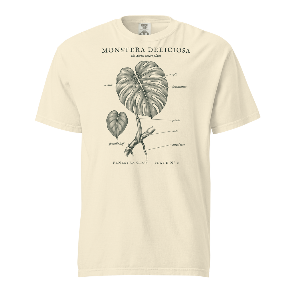 Monstera Deliciosa, Plate Nº 01 tee in Ivory — front view