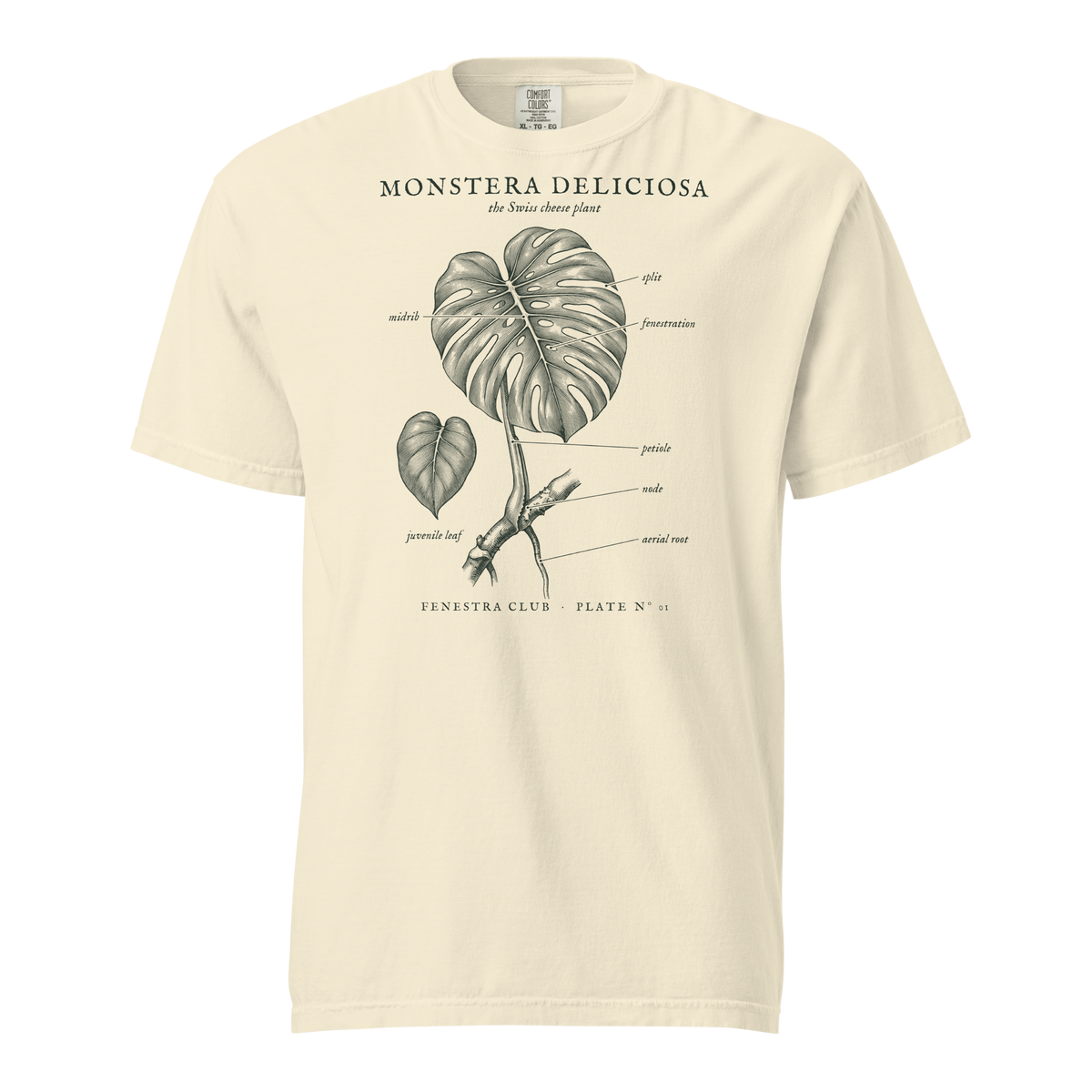 Monstera Deliciosa, Plate Nº 01 tee in Ivory — front view