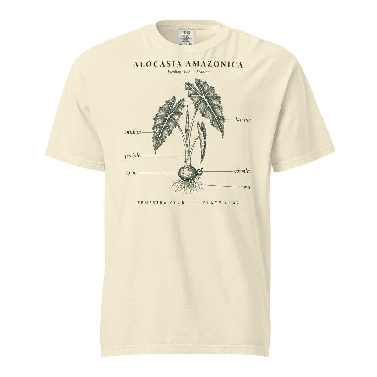 Alocasia Amazonica, Plate Nº 02 tee in Ivory — front view