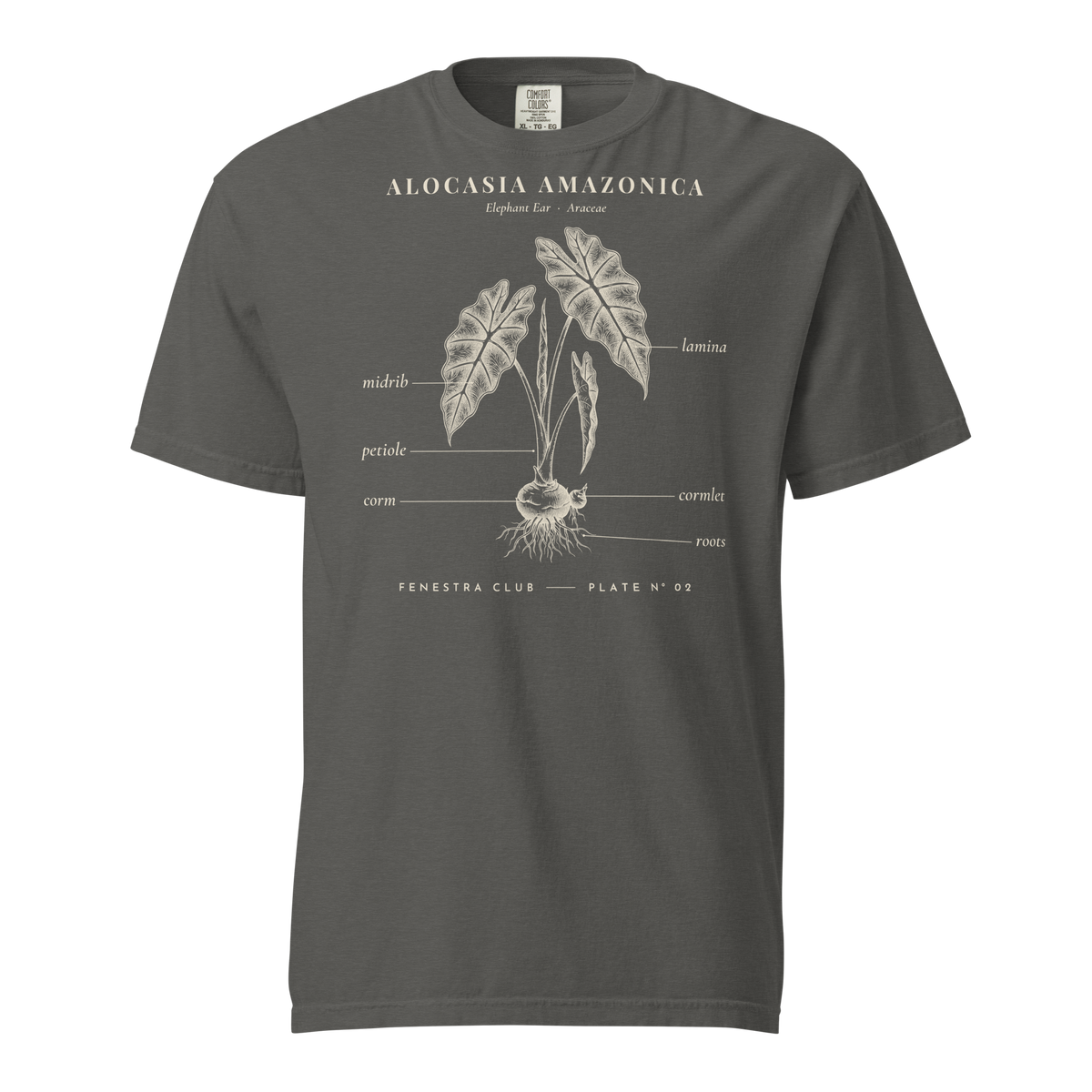 Alocasia Amazonica, Plate Nº 02 tee in Pepper — front view