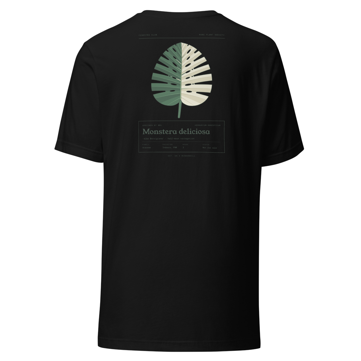 Specimen tee — black back