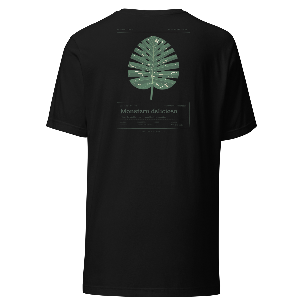 Specimen tee — black back
