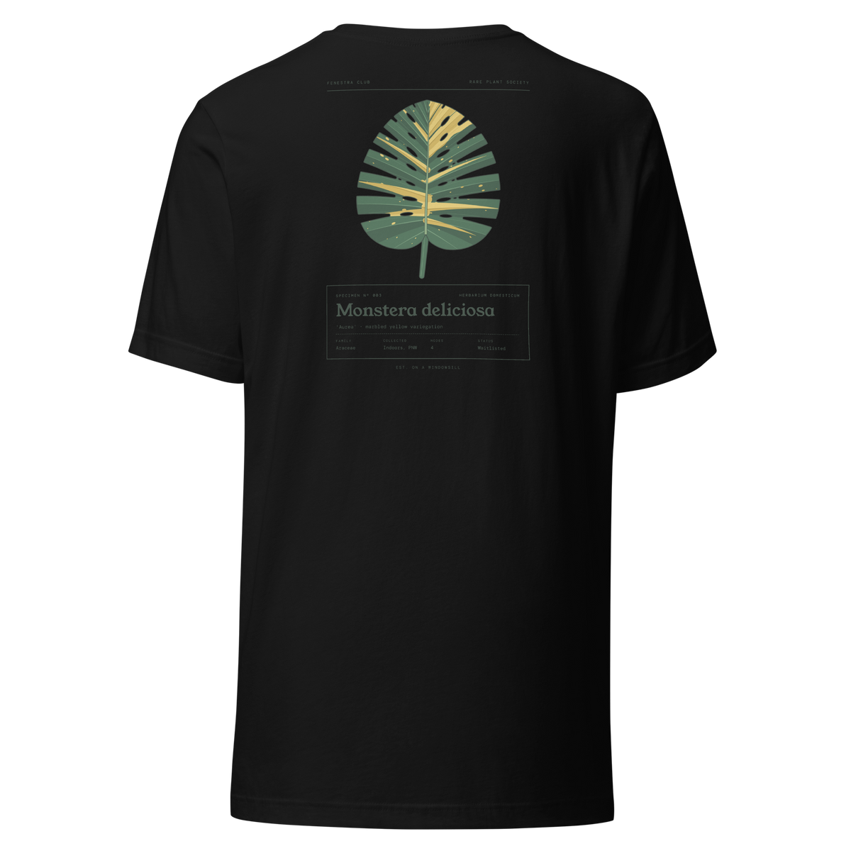 Specimen tee — black back
