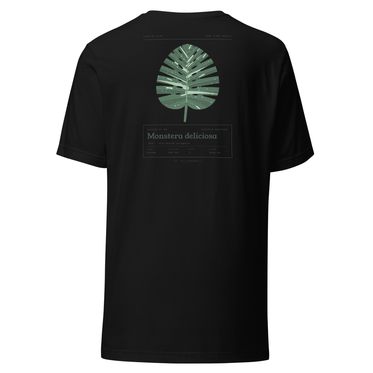 Specimen tee — black back