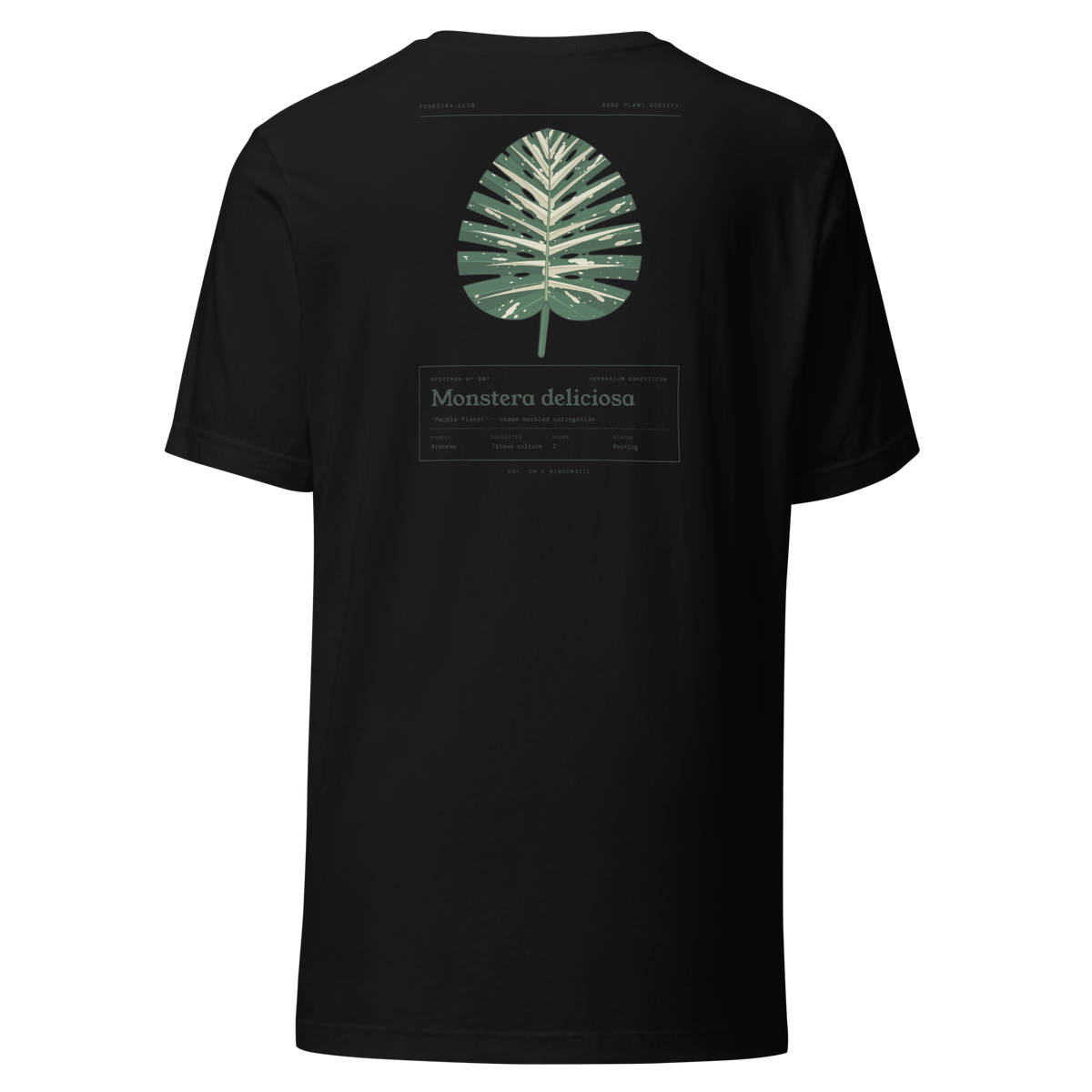 Specimen tee — black back