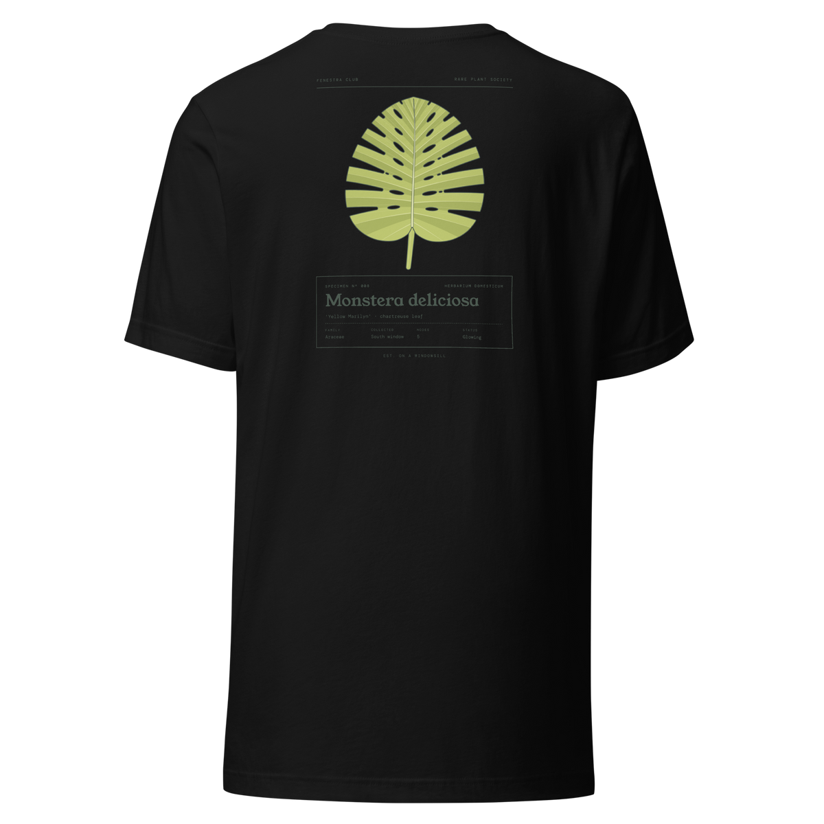 Specimen tee — black back