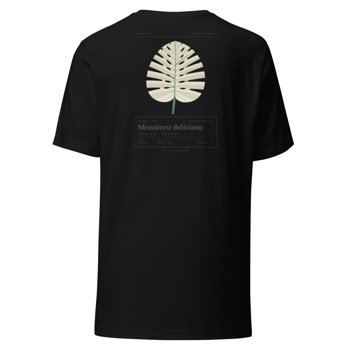 Specimen tee — black back