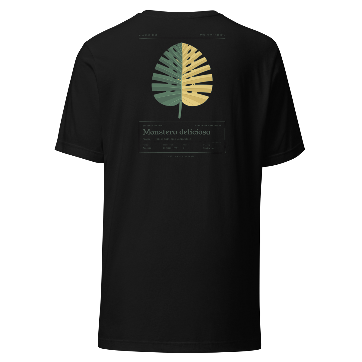 Specimen tee — black back