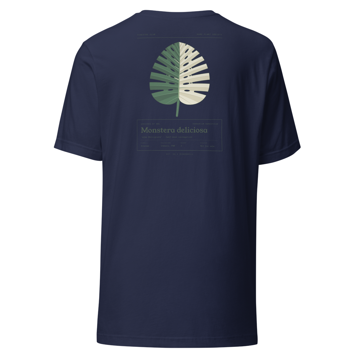 Specimen tee — navy back