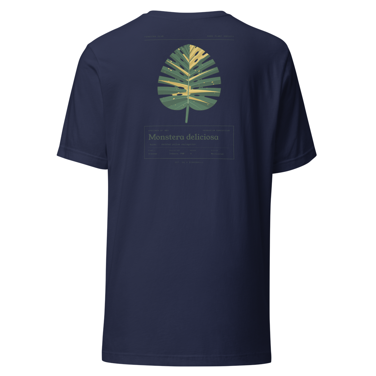 Specimen tee — navy back