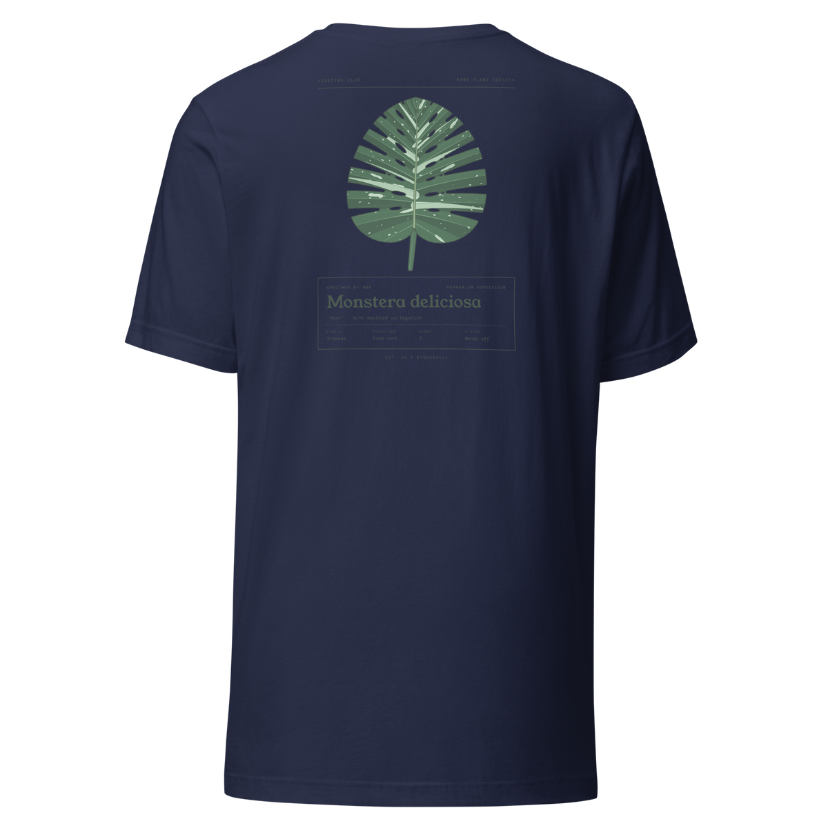 Specimen tee — navy back