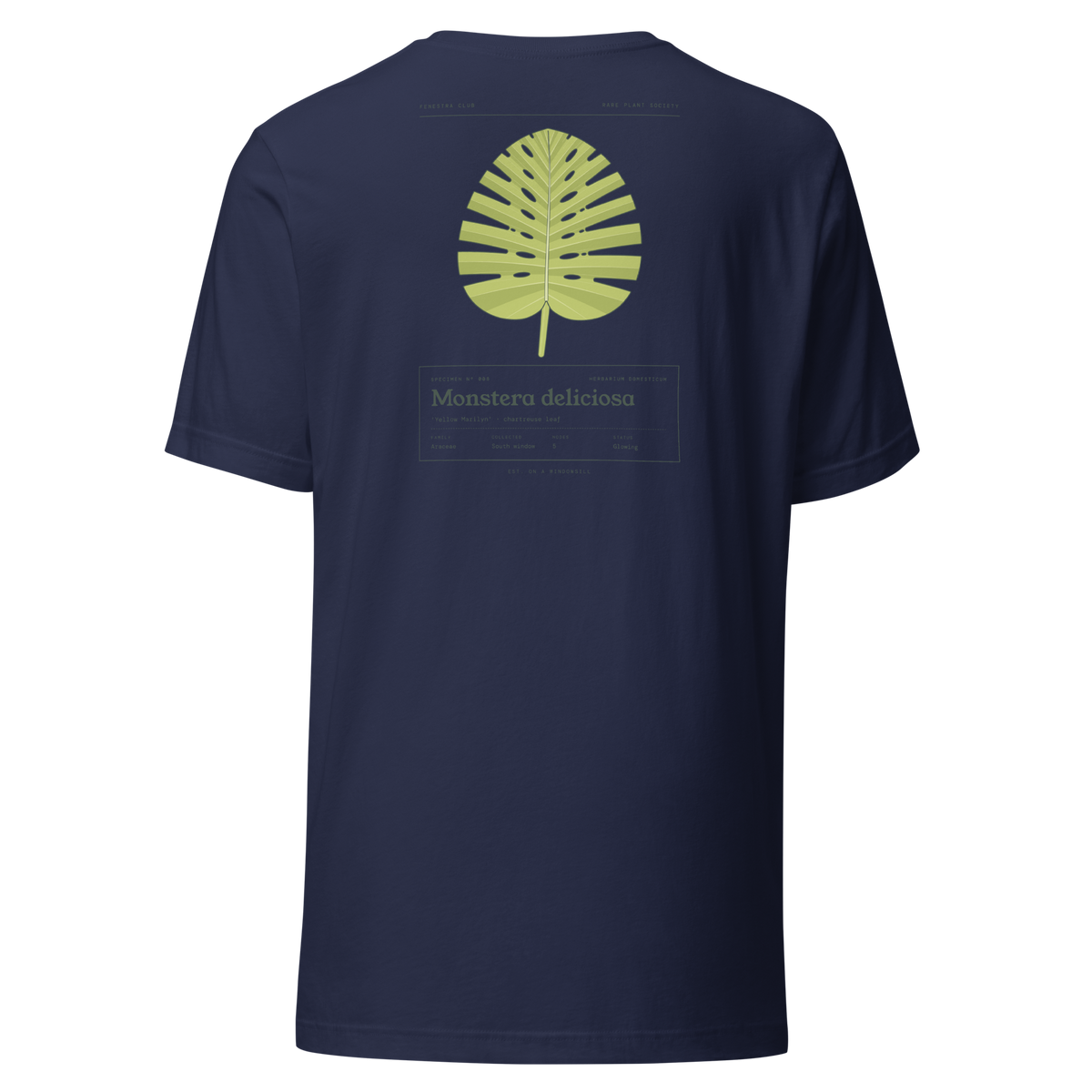 Specimen tee — navy back