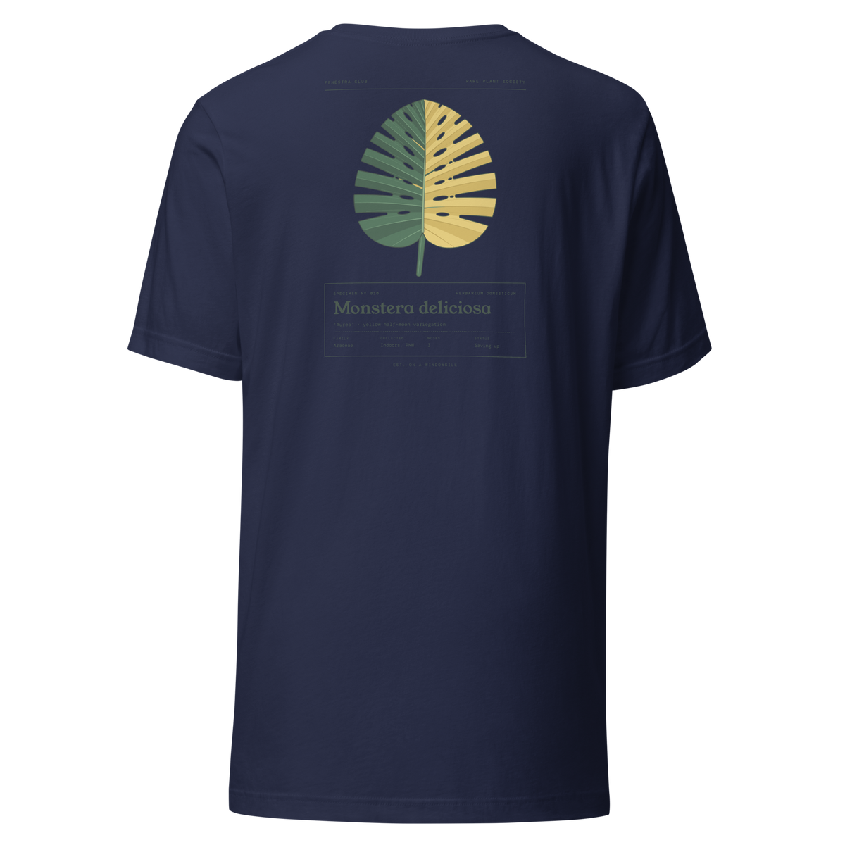 Specimen tee — navy back